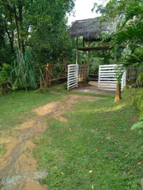 Home in the Island